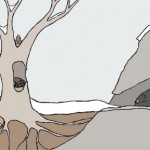 hibernation